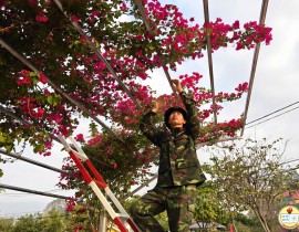 gen-h-anh-07.jpg